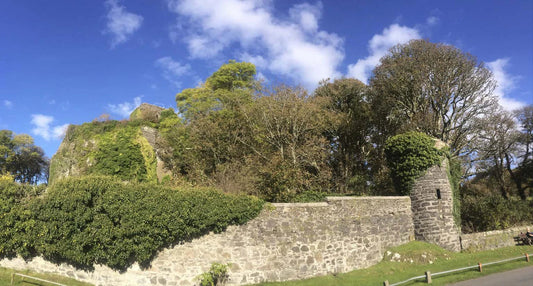 History of Clan MacDougall