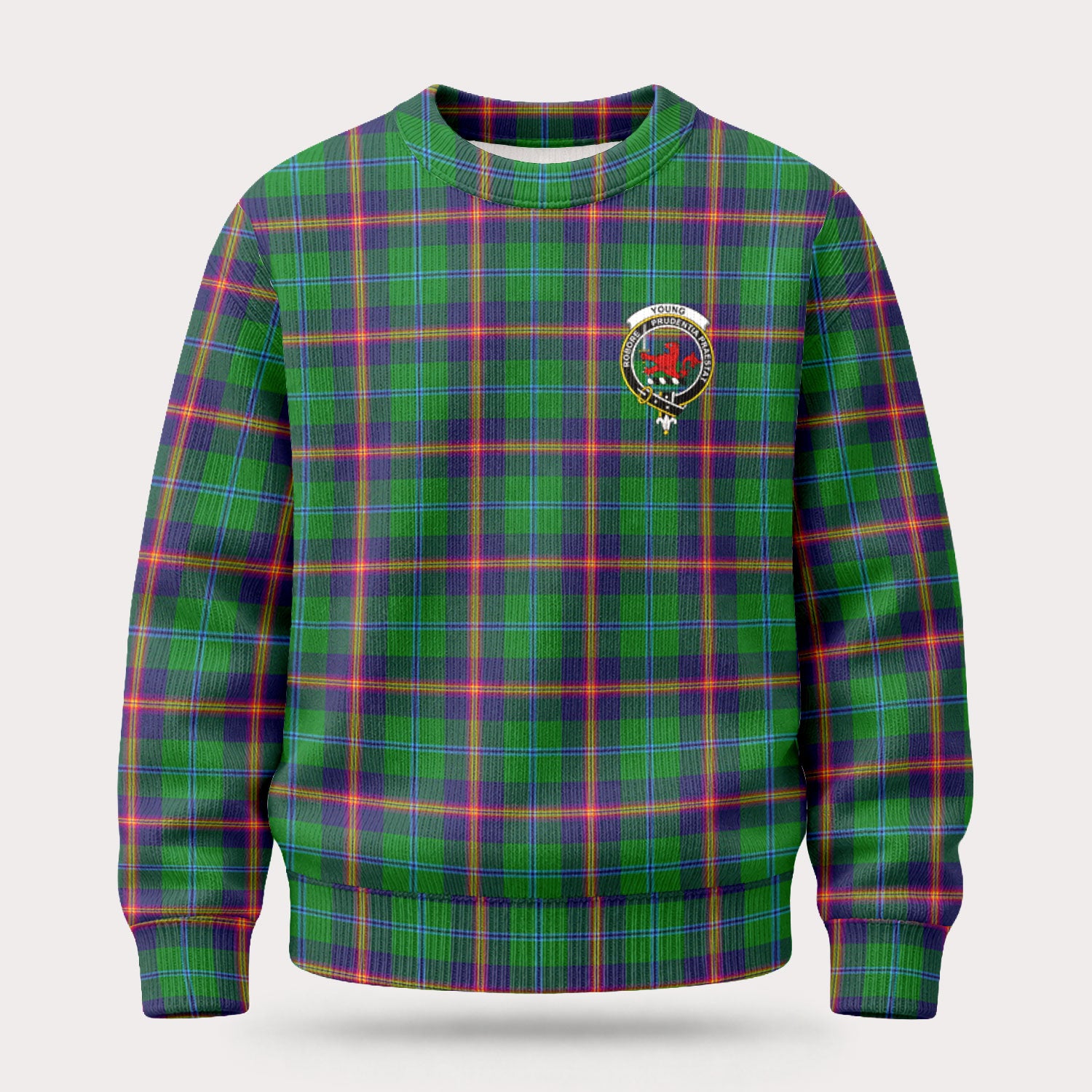 Young Modern Tartan Crest Sweater