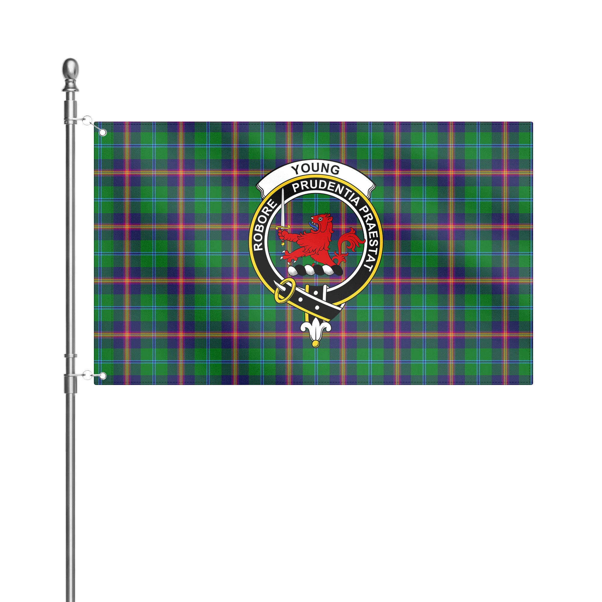 Young Modern Tartan Crest House Flag